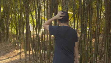 un hombre calvo que camina por un bosque de bambú no puede dejar de picar su cuero cabelludo debido a la caspa