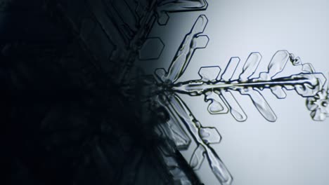 snowflake ice crystal stellar dendrite under microscope