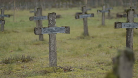 tilting up from broken gravestones to rows of crucifixes at abandoned graveyard