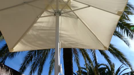 Unteransicht-Eines-Sonnenschirms-Und-Palmen-Mit-Einer-Sanften-Brise
