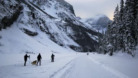 tourists along with the pet dog skiing slowly inside the banff national park going to the rocky mountains of canada