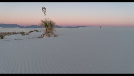 white sands national park sunset