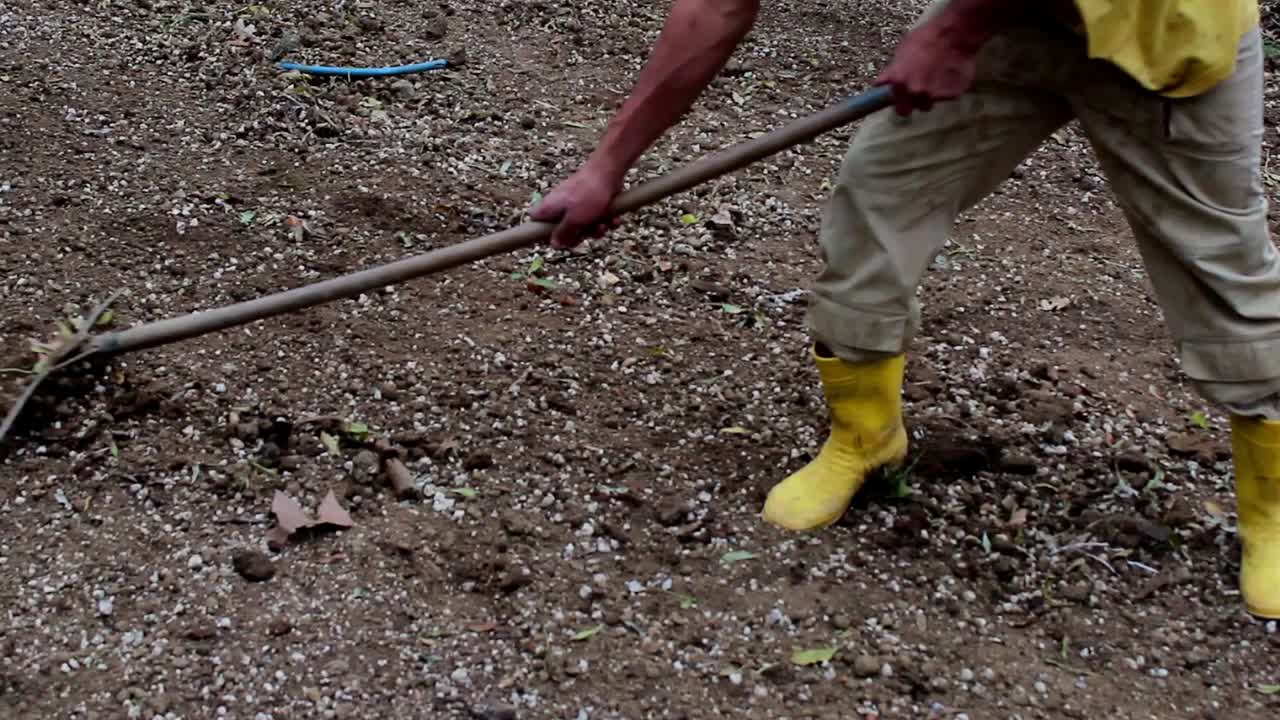 planta de trabajador en equipo en el parque 2