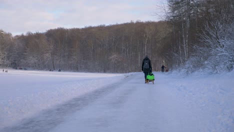 Young-mother-pulling-her-son-on-sled-along-while-walking-through-winter-wonderland-forest-during-winter-in-Bavaria,-Germany