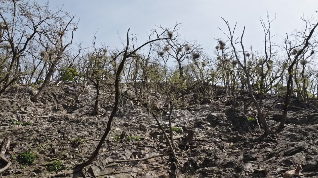 아래 에서 볼 수 있는 가파른 산 쪽