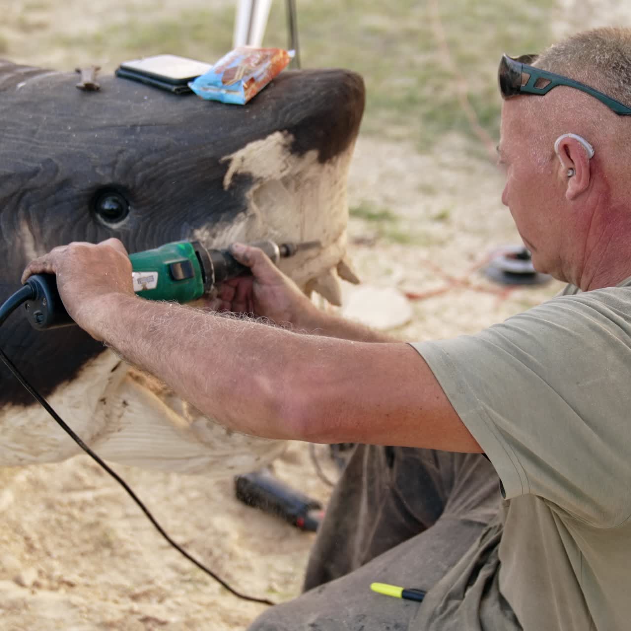 Male artist cutting a sculpture of shark from the wood. Artist applies electric tool in the process