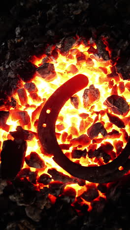 horseshoe on heat coal