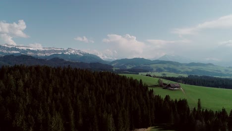 aérea de lagos, bosques y montañas en la suiza rural