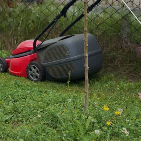 barefoot young girl mowing grass with a lawn mower in garden. bare female feet walking behind lawn mower in back yard