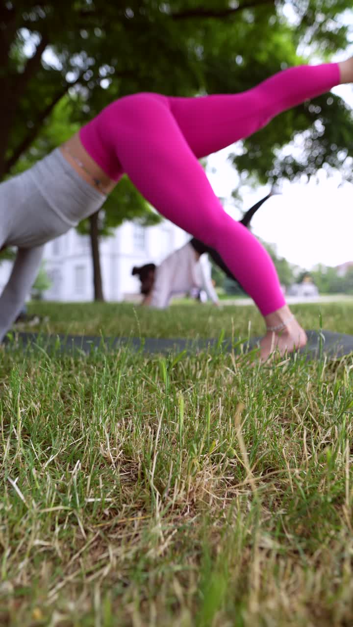personas que practican yoga al aire libre