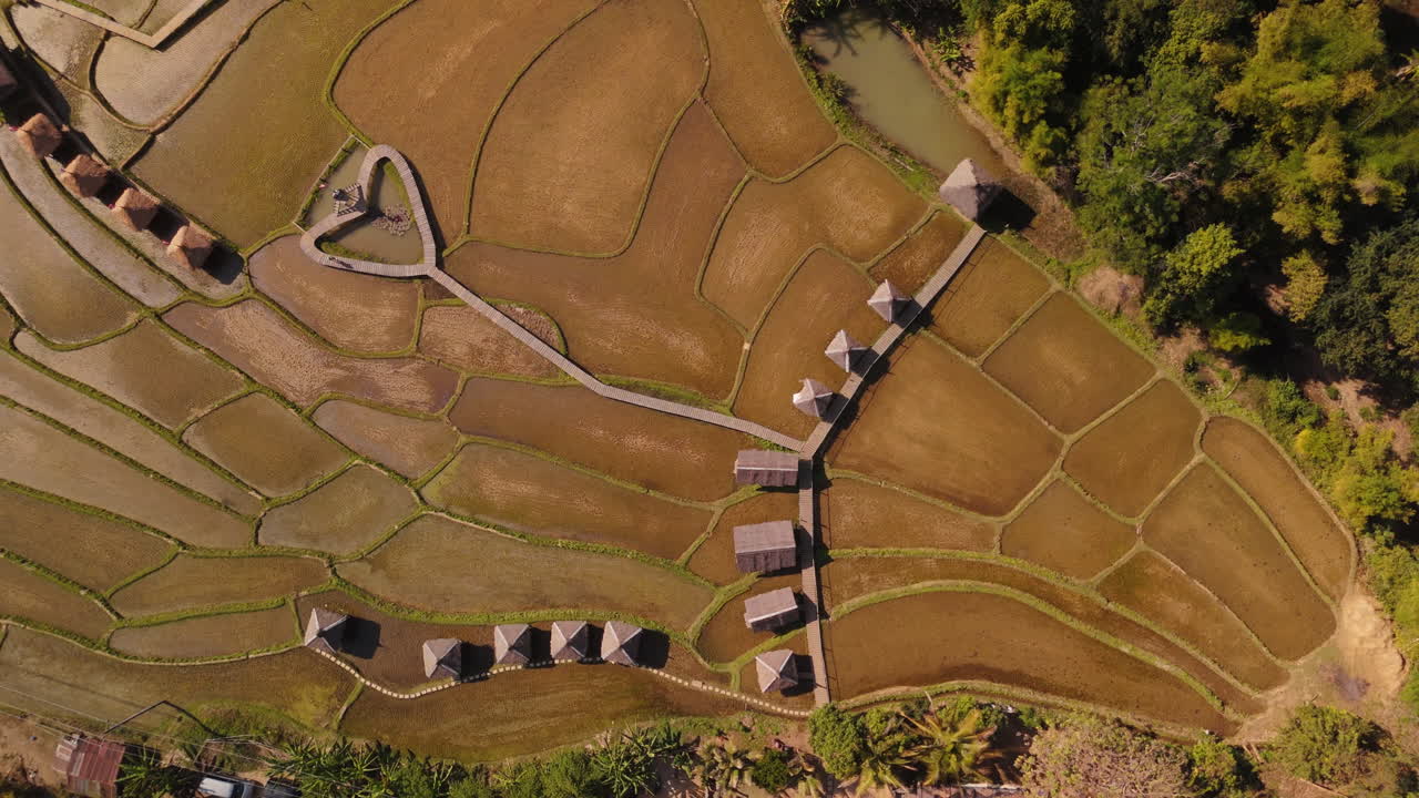 Aerial View of Rice Terraces with Wooden Walkways and Huts