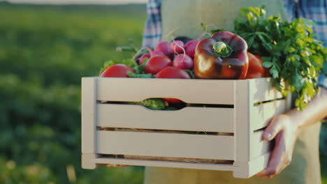 female hands hold a box with fresh vegetables and herbs organic farm products