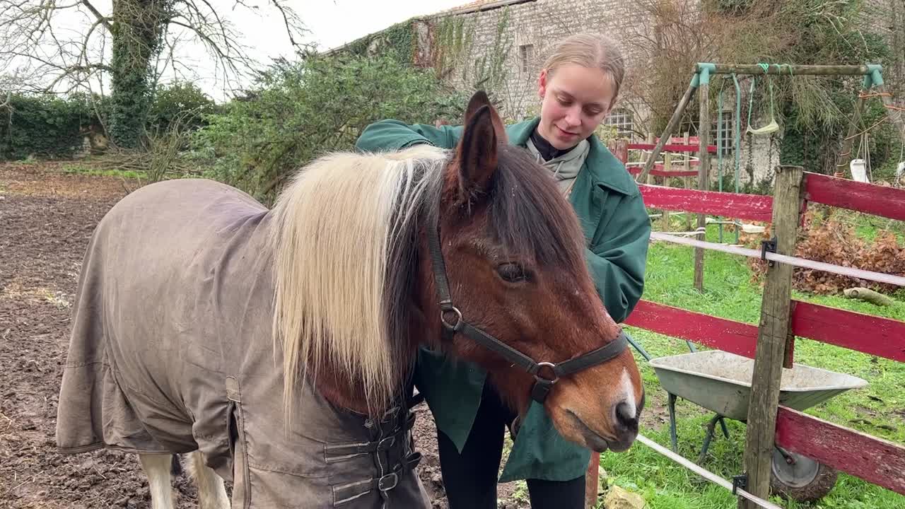 Ragazza che prepara il suo pony e lo porta fuori dal recinto.