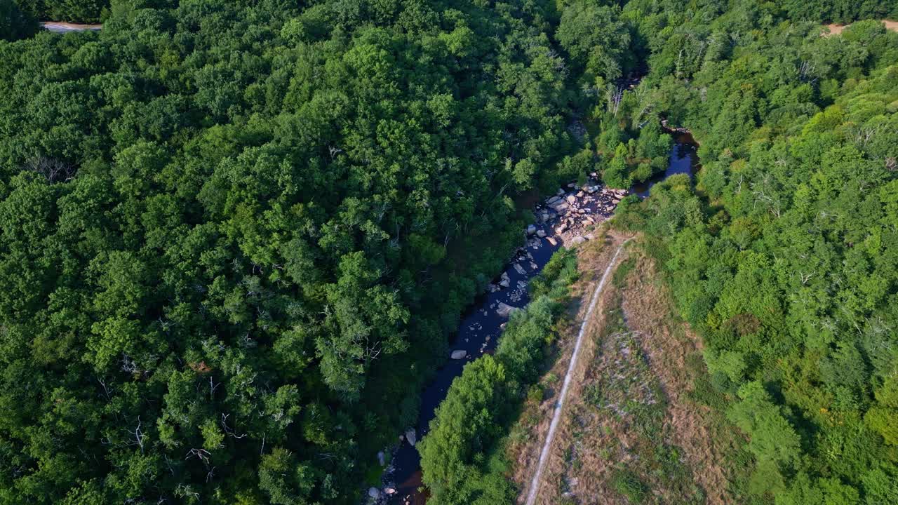 Gué giraud forest open terrain endpoint side with a dirt road visible among trees in sunlight, Saint-Junien, Haute-Vienne, France