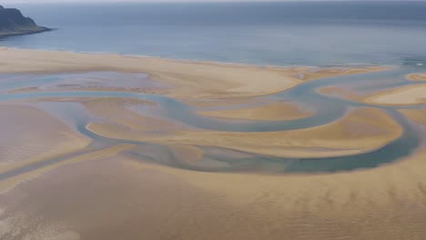 fotografía aérea de aves de la playa arenosa de raudasandur y el océano en el fondo en verano - islandia, europa