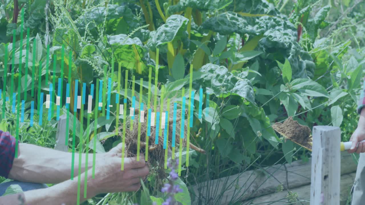 정원에서 일하는 백인 남성에 대한 금융 데이터 처리의 애니메이션.