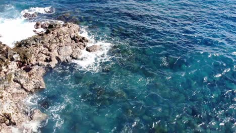 Rocky-feeding-ground-for-turtles-and-other-wildlife-on-coast-of-hawaii-island-with-waves-and-rocky-cliffs