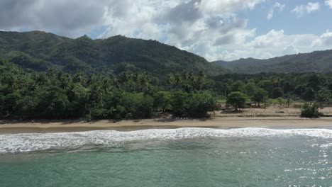 Aerial-push-out-shot-of-beautiful-scenery-with-palm-trees-and-growing-plants-on-mountains---Private-golden-beach-and-clear-Caribbean-Sea-in-foreground