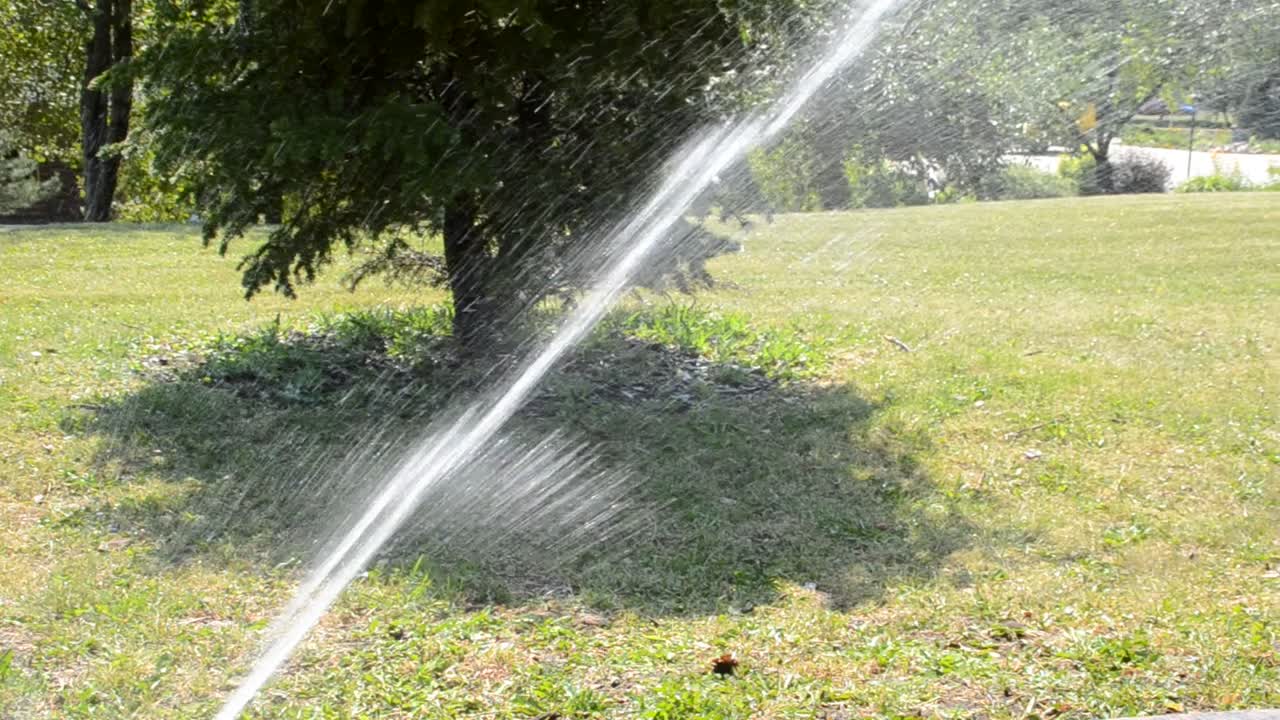 Irrigazione dell'erba
