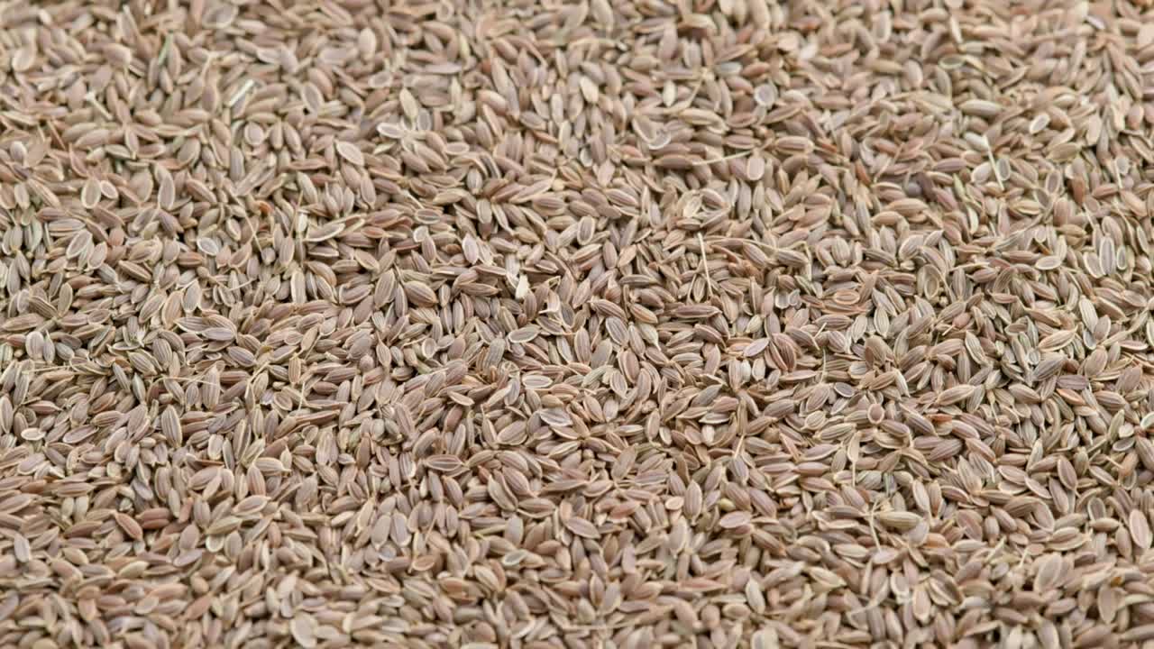 평평한 표면에 건조한  씨, 느리게 회전하는 루프 된 배경