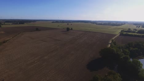 Vuelo-Hacia-árboles-Individuales-En-Campos-Agrícolas-En-Un-Día-Soleado