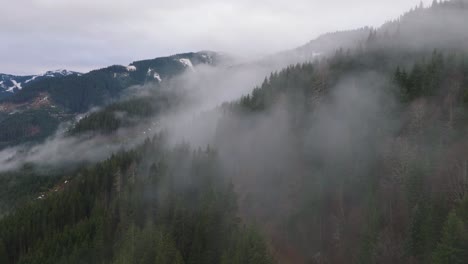 misty forest on the slopes of saalbach-hinterglemm ski resort, austria, aerial view