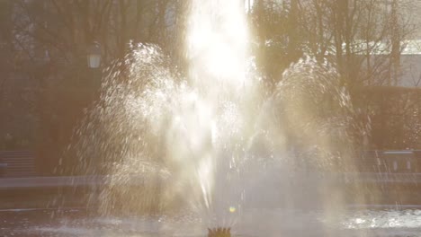 una fuente que se ve increíble en la hermosa luz del sol