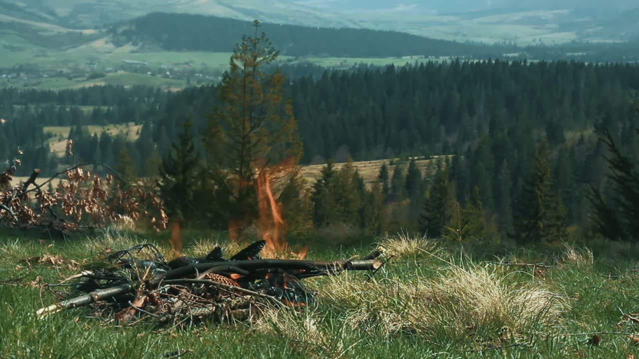 불타는 나무  ⁇ 어리 를 가진 캠핑 벽난로. 관광자 들 의 불