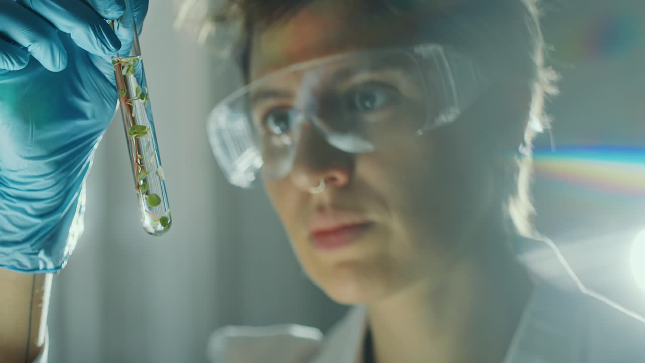 Female Laboratory Scientist Examining Green Plant in Test Tube