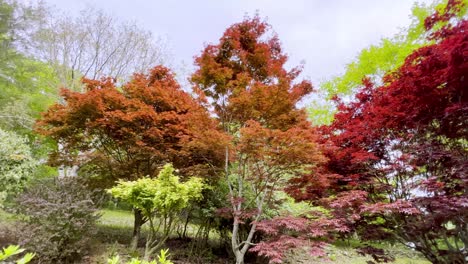 Arces-Japoneses-En-Pan-De-Primavera-De-Color