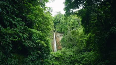 ribeira quente natural waterfall in sao miguel in the azores - portugal