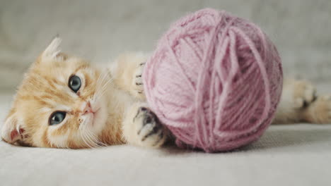 a cute ginger kitten lies near a ball of thread