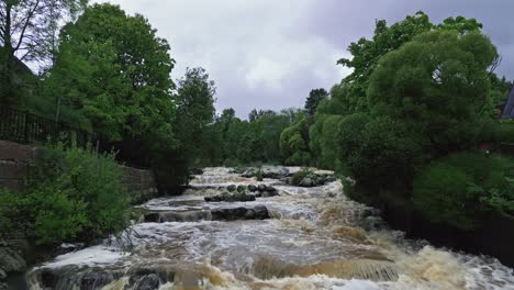 Rápidos-Rodeados-De-árboles-En-Helsinki,-Finlandia