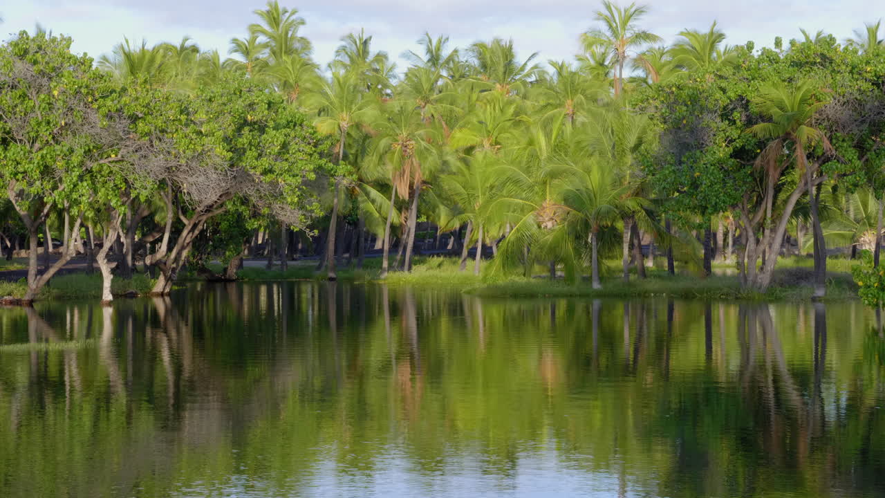Beautiful Light Ocean View Walk to Auberge Hotel at Mauna Lani Ponds Hawaii Sunset