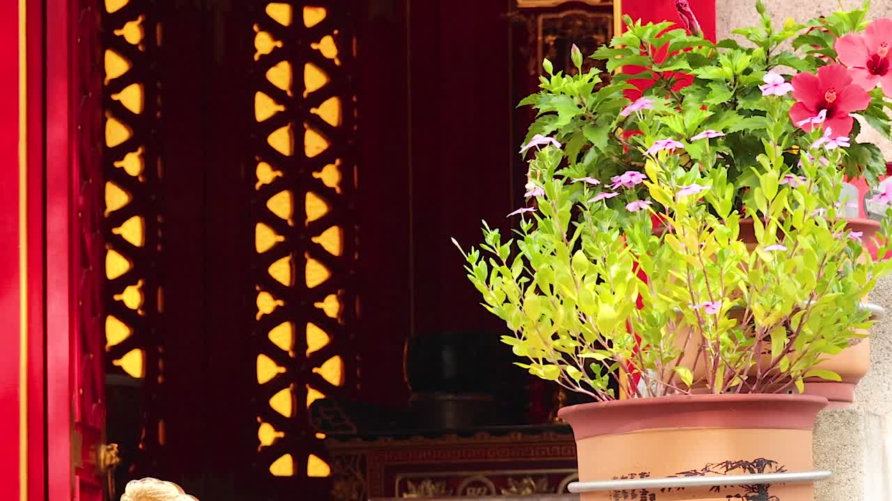 plantas coloridas y arquitectura en el templo de hong kong