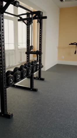 home gym with weights and cable machine