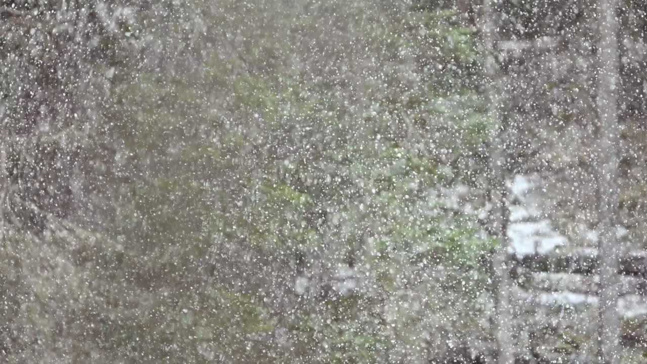 신선한 눈알의 순수함을 목격합니다. 평온하고 느린 겨울의 환경에서 떠다니고 있습니다.