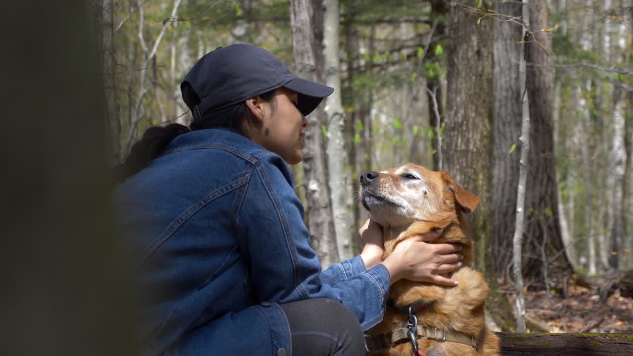 Pretty young diverse woman loving petting and showing love to her adorable senior dog in the woods of upstate new york