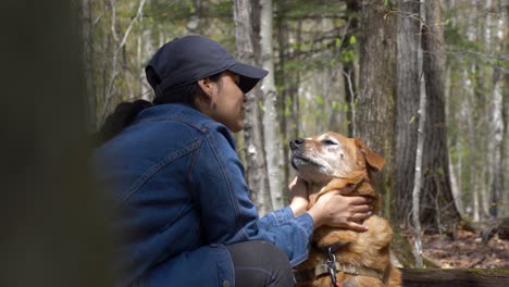 jovem mulher bastante diversificada adorando acariciar e mostrando amor ao seu adorável cão sênior nos bosques do norte do estado de nova iorque