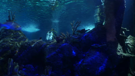 a vibrant underwater scene shows a fish swimming past coral formations with scuba tanks and divers in the background. the rocky seabed and marine life create a deep-sea exploration atmosphere