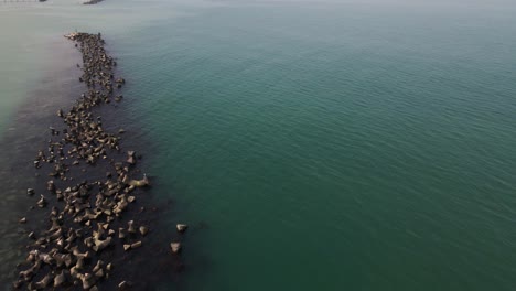 concrete tetrapods block filmed by drone at the black sea