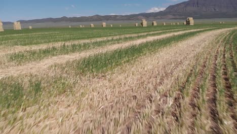 imágenes aéreas de un campo de heno