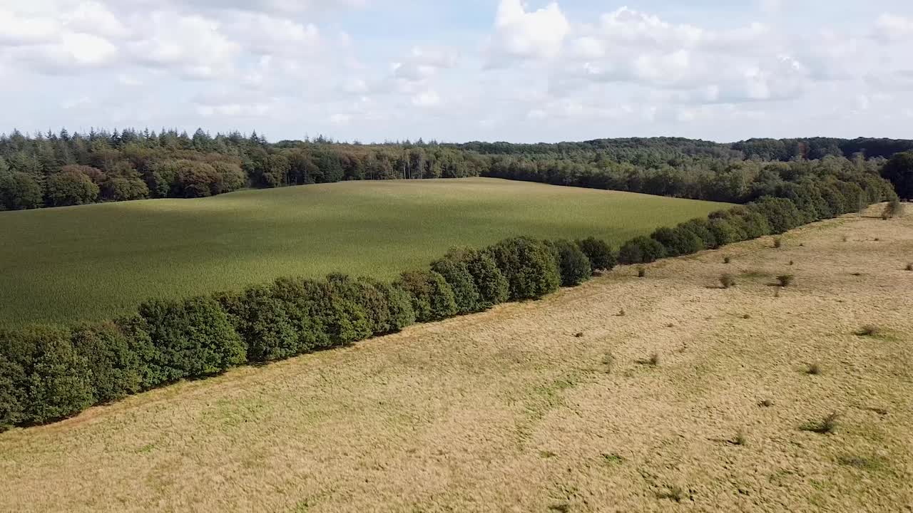 toma de drones de la naturaleza desde arriba.
