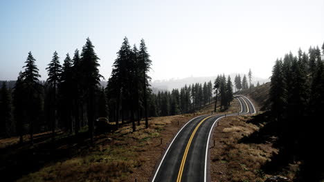 aerial view of the old road going through pass in the swiss alps