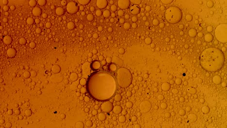 structure movement of colorful oil bubbles in liquid