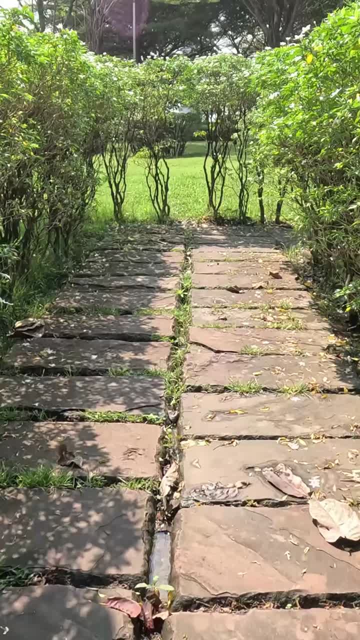Progression along a serene garden walkway