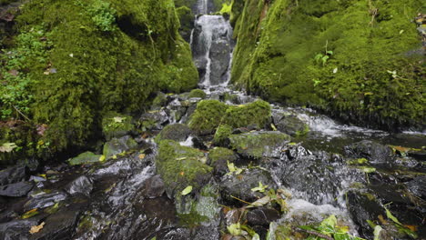 mountain waterfall in lush green forest