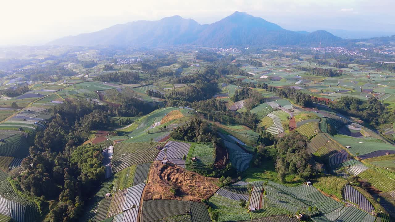 vista aérea de la plantación de vegetales verdes con montaña en el fondo - plantación de cebollín, brócoli, cebolla y patata