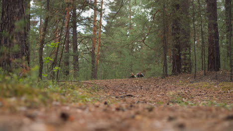 Teenager-In-Kleidung-Mittleren-Alters-Laufen-Durch-Den-Wald