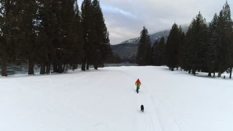 man with dog cycling on snowy forest 4k